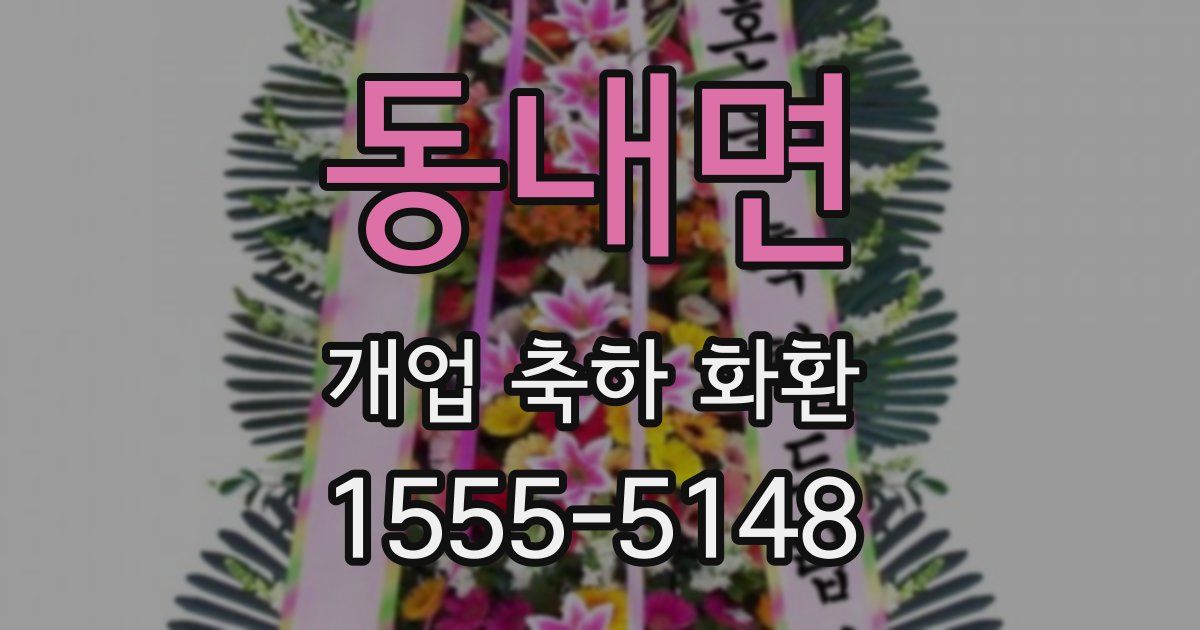 동내면 개업 축하 화환