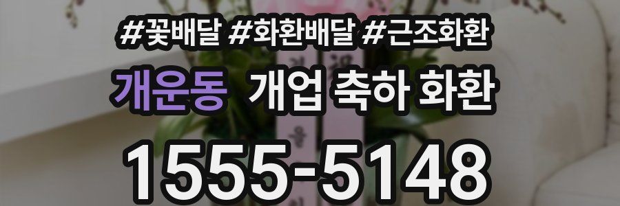 개운동 개업 축하 화환