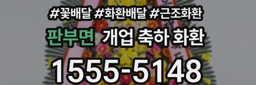 판부면 개업 축하 화환