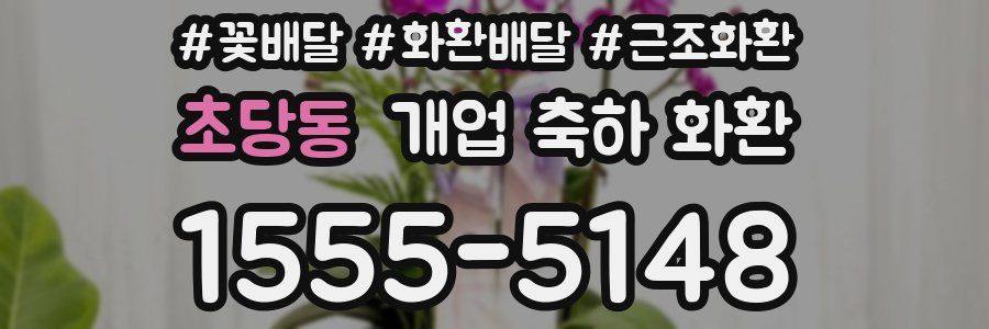 초당동 개업 축하 화환