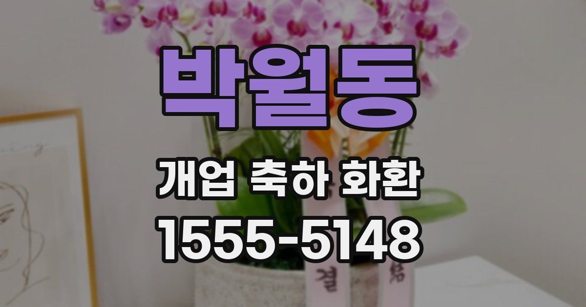 박월동 개업 축하 화환