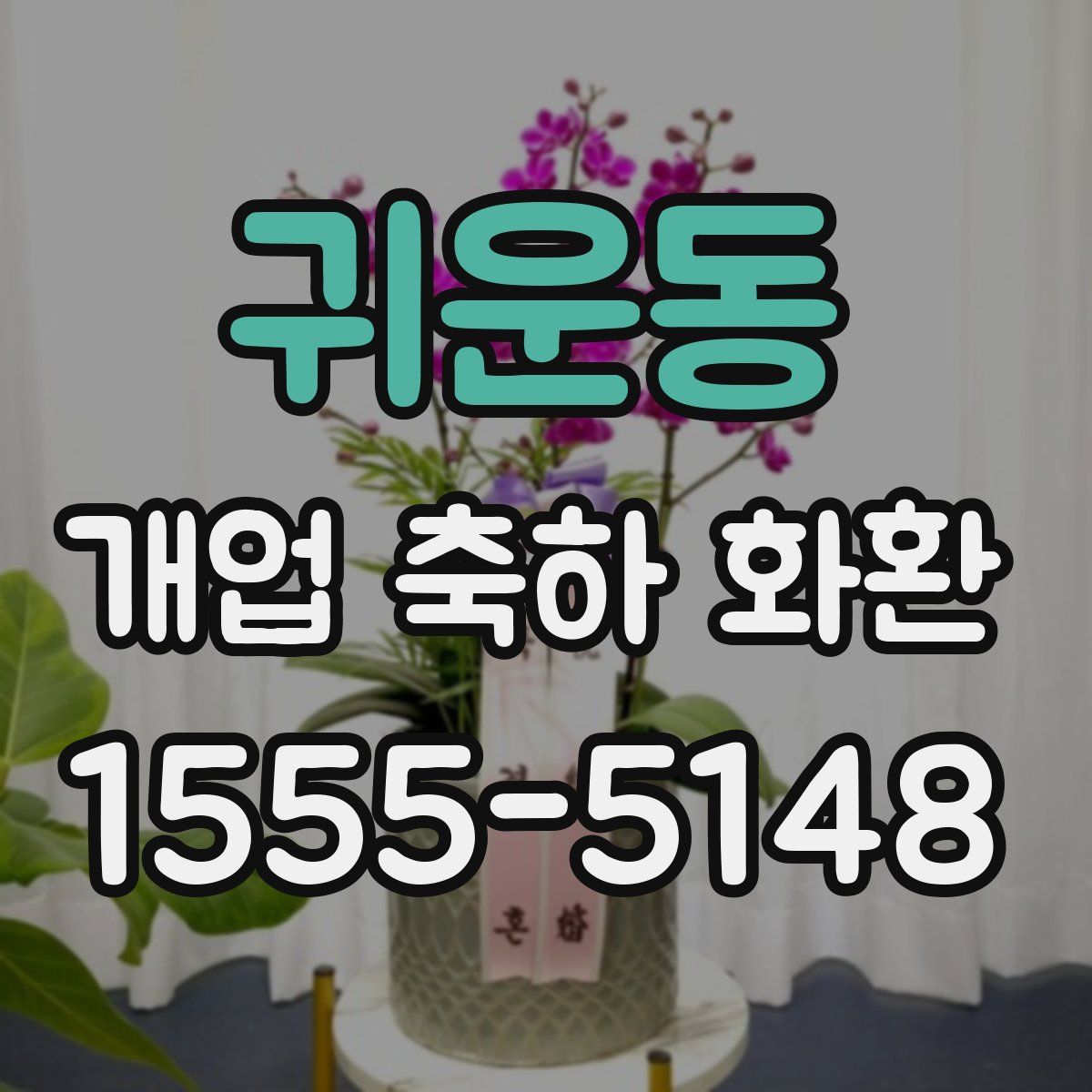 귀운동 개업 축하 화환