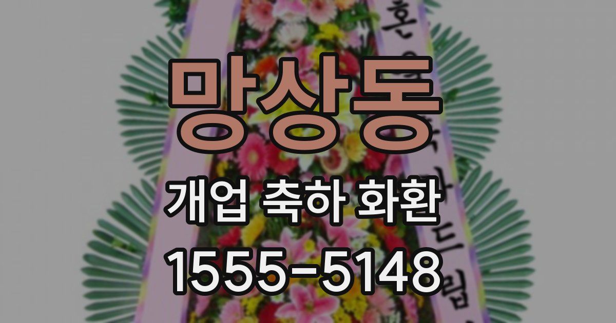망상동 개업 축하 화환
