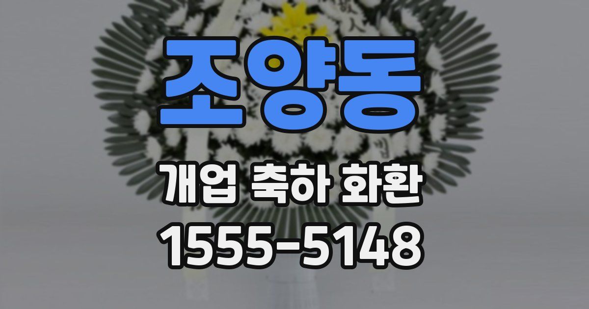 조양동 개업 축하 화환