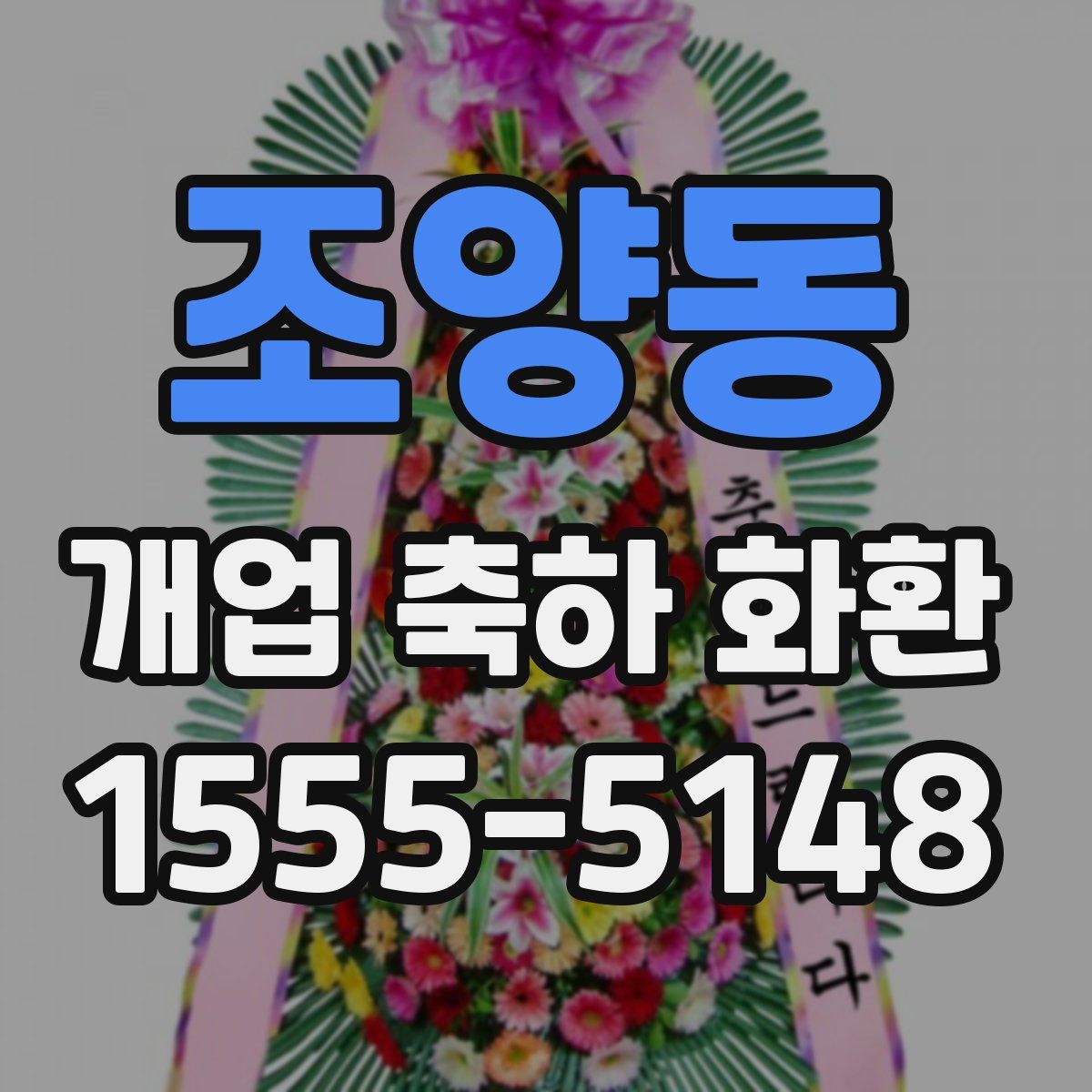 조양동 개업 축하 화환