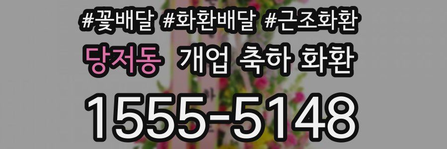당저동 개업 축하 화환