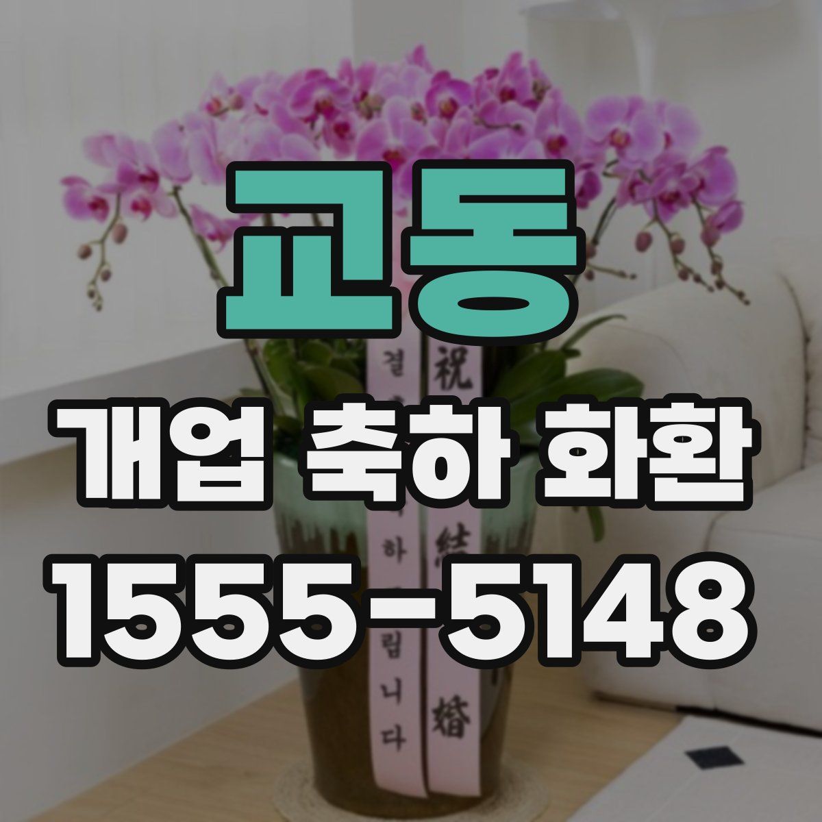 교동 개업 축하 화환