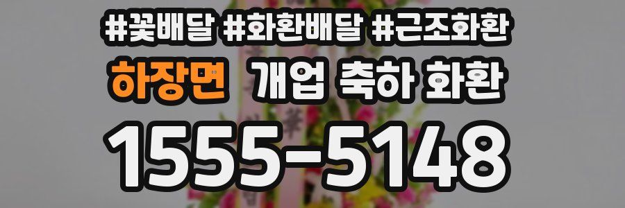하장면 개업 축하 화환