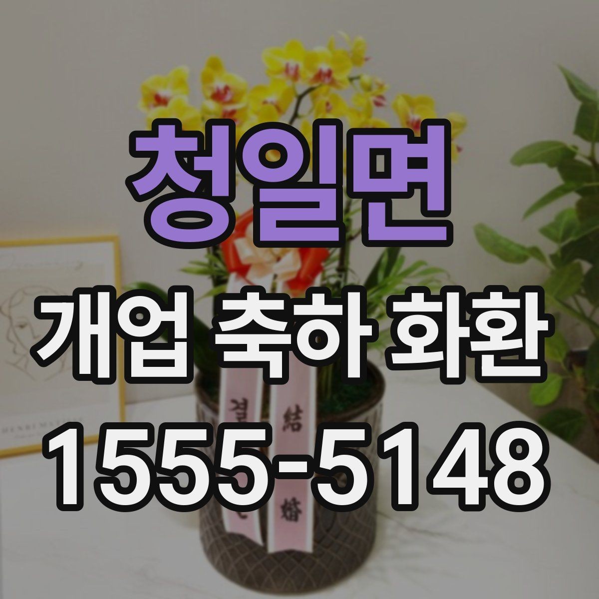청일면 개업 축하 화환 업체 비교할 때 보는 항목