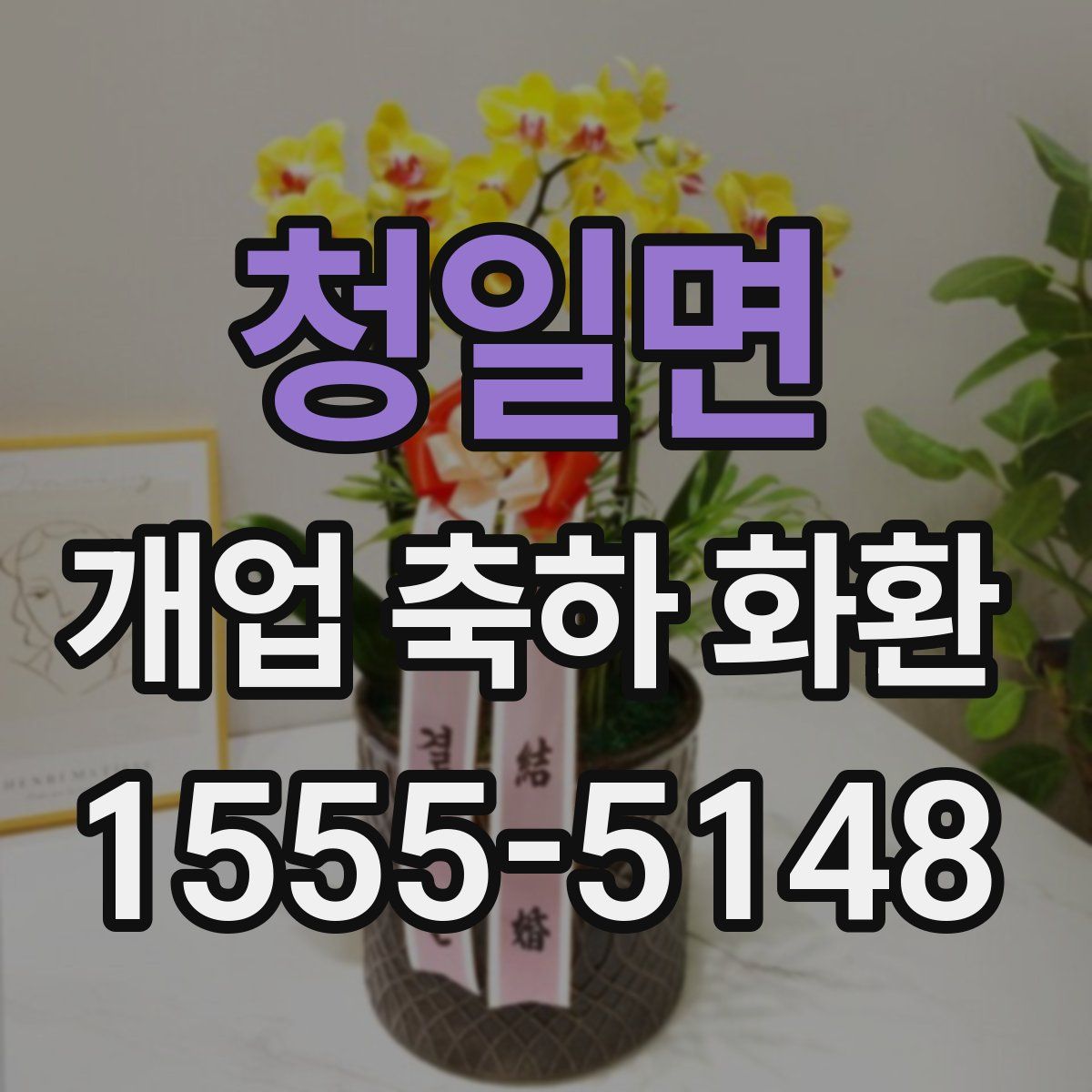 청일면 개업 축하 화환