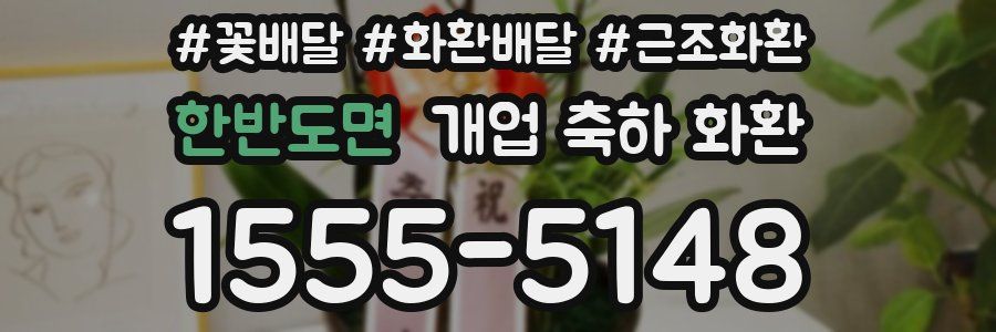 한반도면 개업 축하 화환