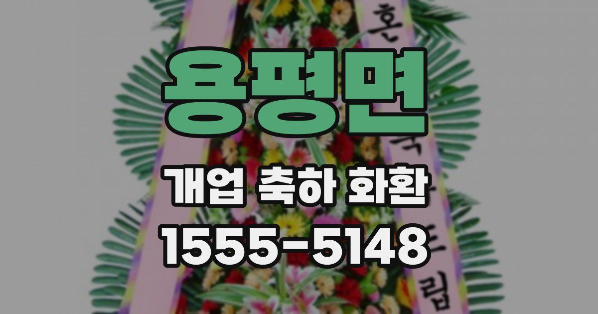 용평면 개업 축하 화환
