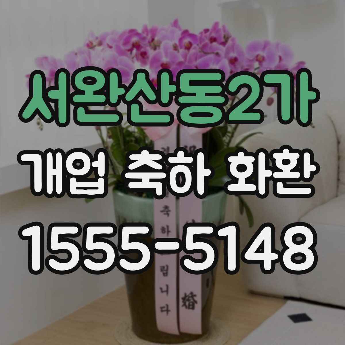 서완산동2가 개업 축하 화환