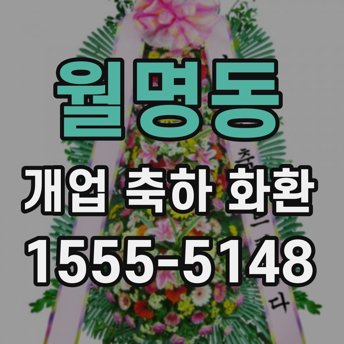 월명동 개업 축하 화환