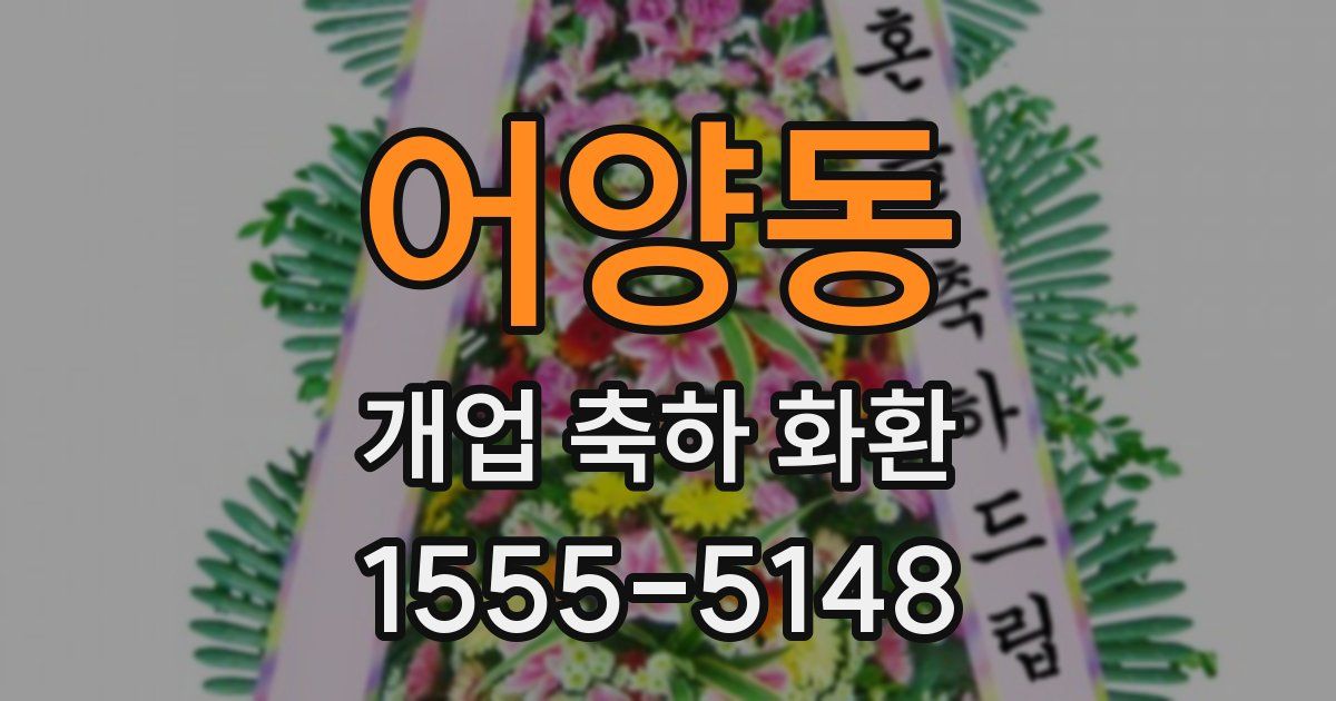 어양동 개업 축하 화환