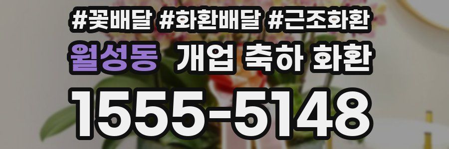 월성동 개업 축하 화환