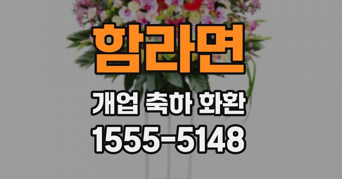 함라면 개업 축하 화환