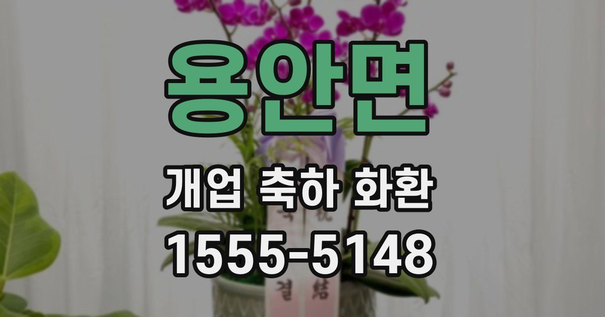 용안면 개업 축하 화환