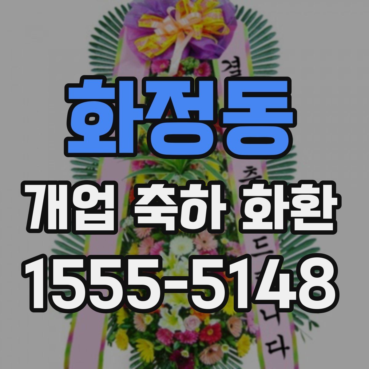 화정동 개업 축하 화환 행사 사진이 잘 나오는 배치