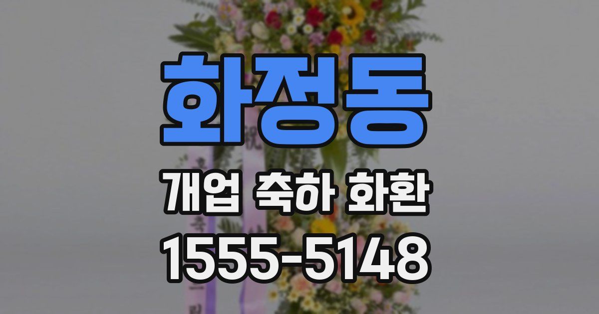 화정동 개업 축하 화환