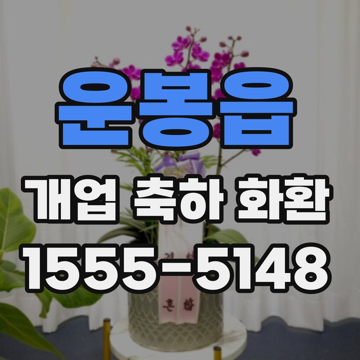 운봉읍 개업 축하 화환