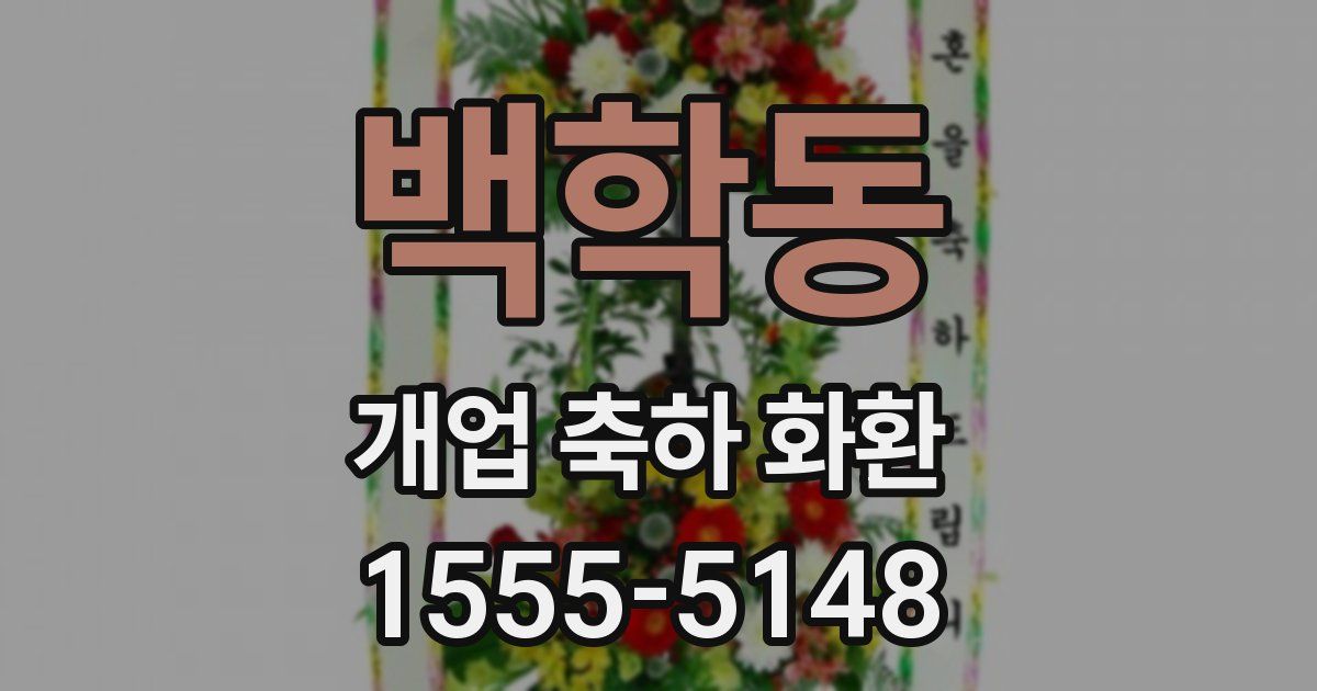 백학동 개업 축하 화환