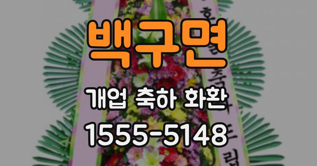 백구면 개업 축하 화환