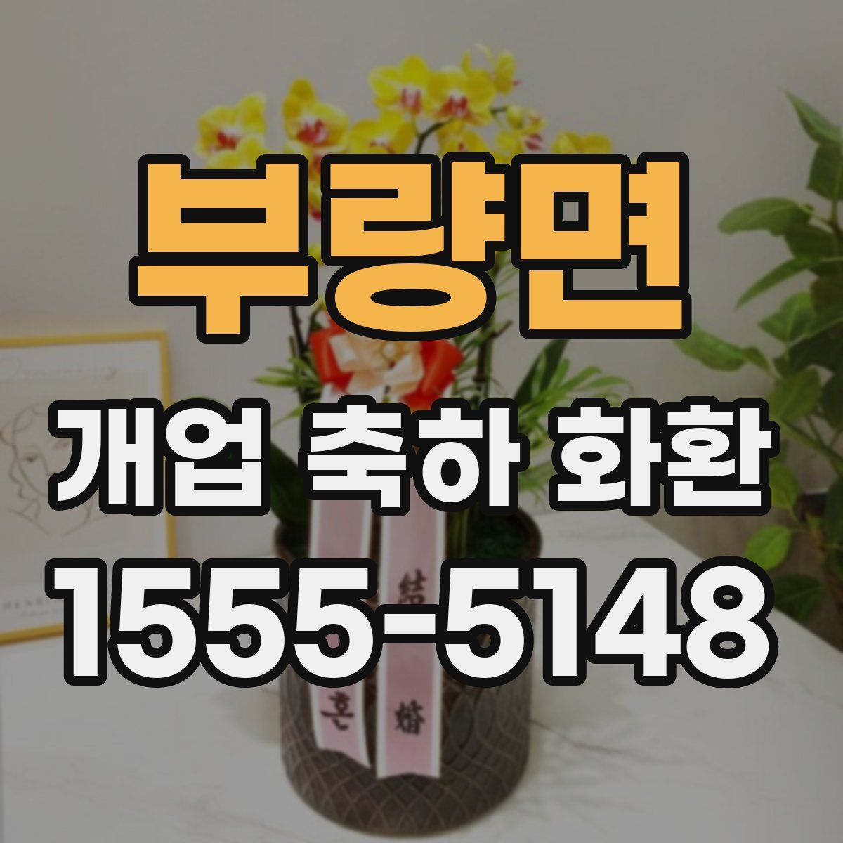 부량면 개업 축하 화환