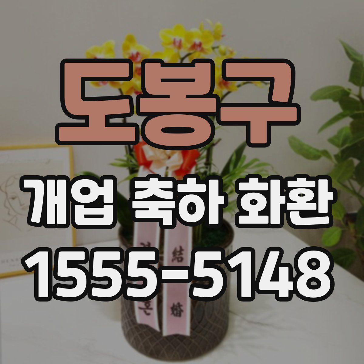 도봉구 개업 축하 화환