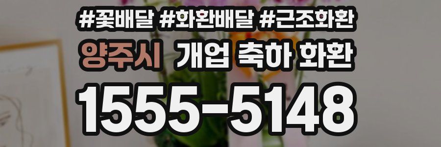 양주시 개업 축하 화환