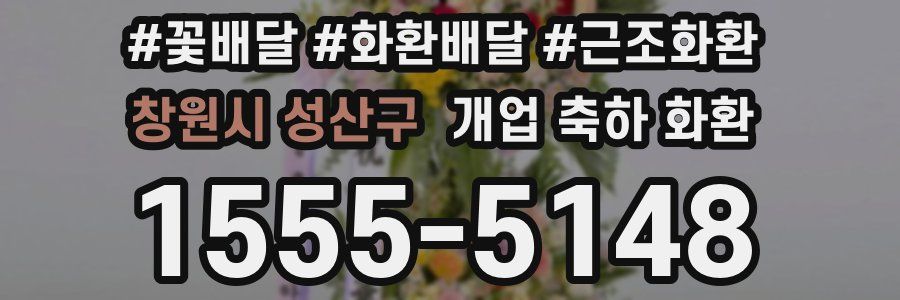 창원시 성산구 개업 축하 화환