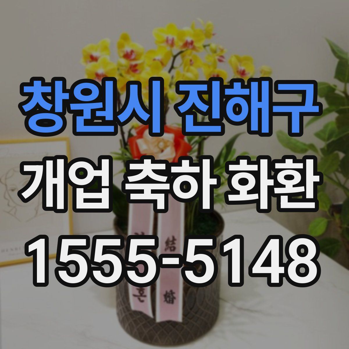 창원시 진해구 개업 축하 화환