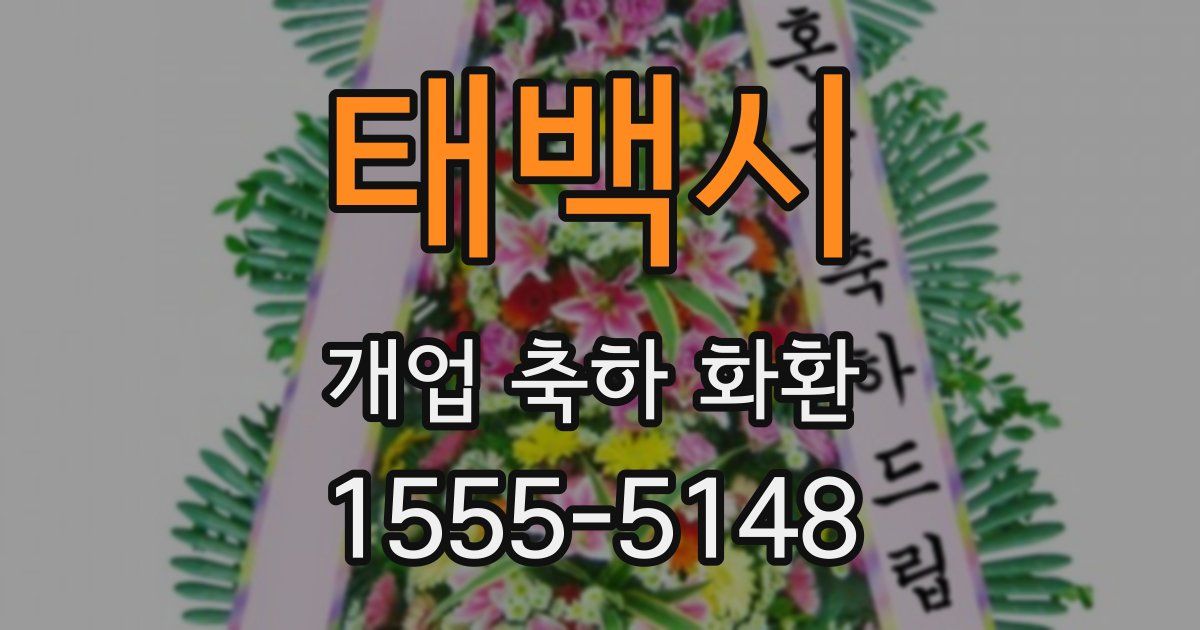 태백시 개업 축하 화환