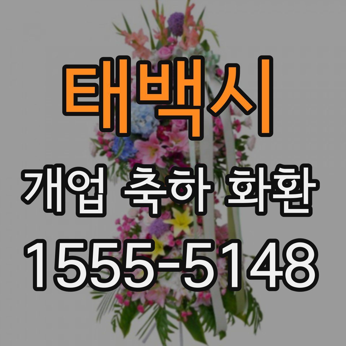 태백시 개업 축하 화환