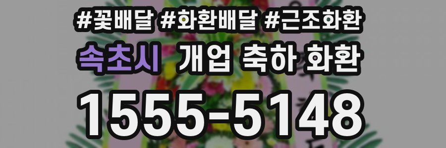 속초시 개업 축하 화환