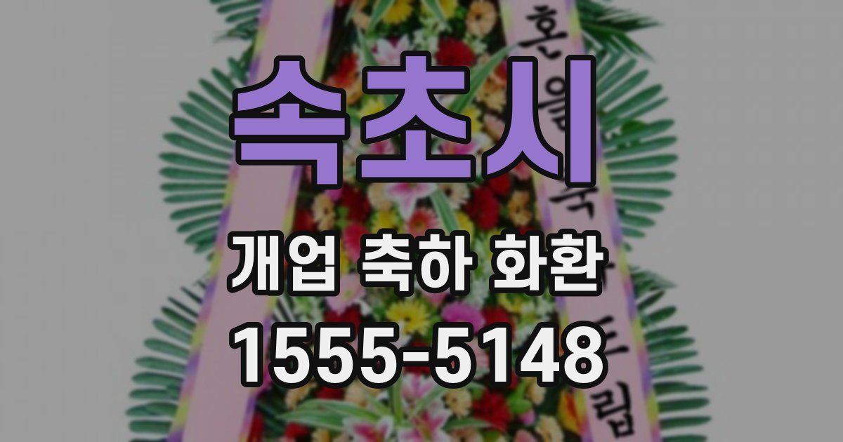 속초시 개업 축하 화환