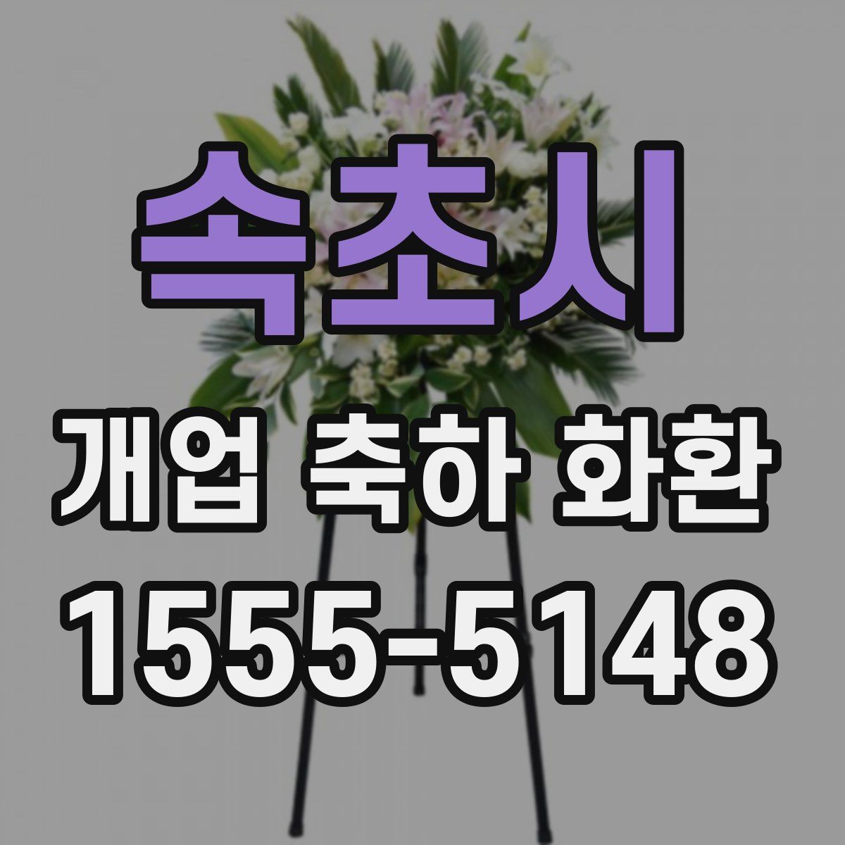 속초시 개업 축하 화환