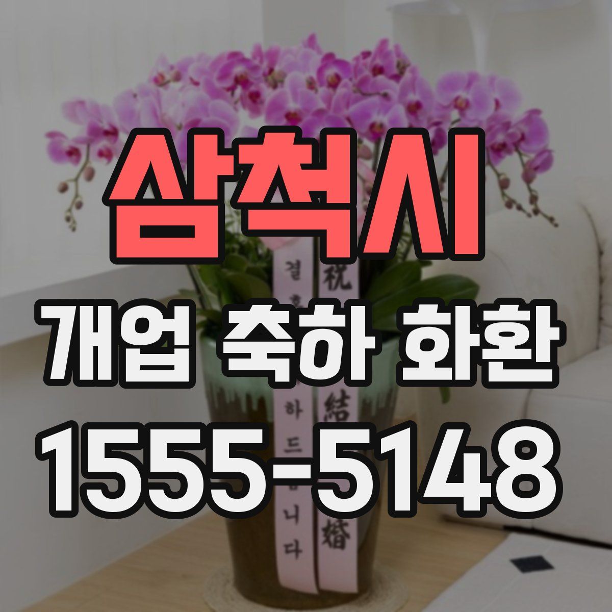 삼척시 개업 축하 화환