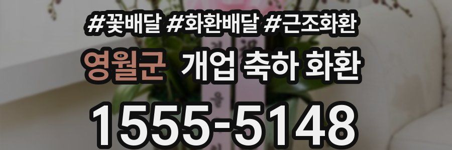 영월군 개업 축하 화환