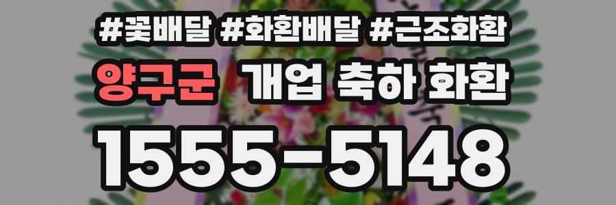 양구군 개업 축하 화환
