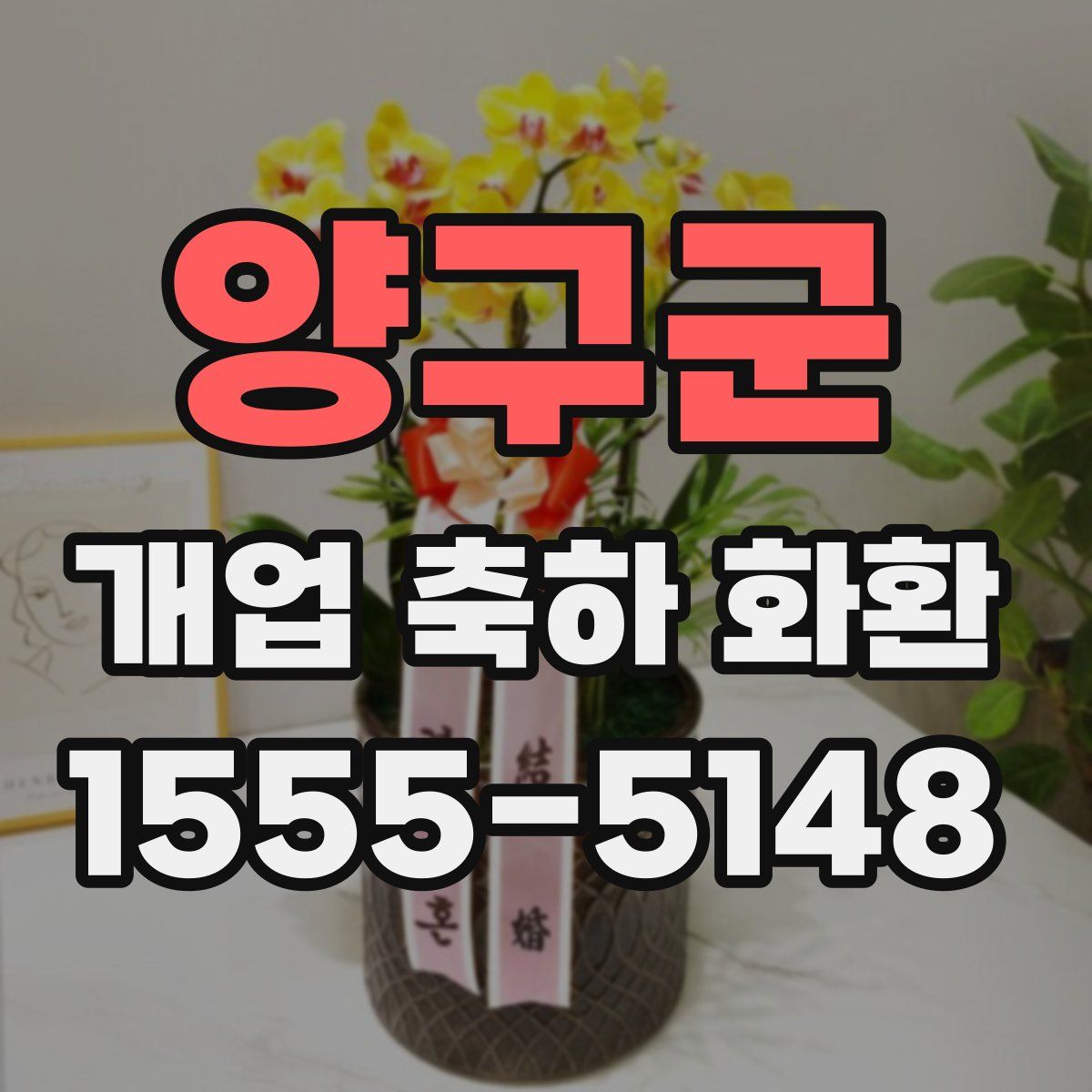 양구군 개업 축하 화환