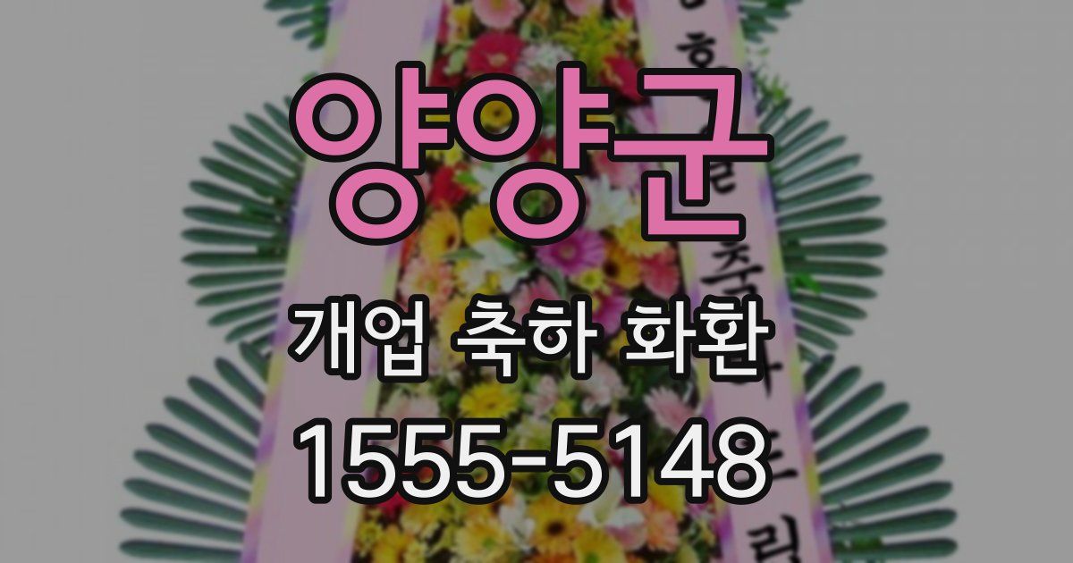 양양군 개업 축하 화환