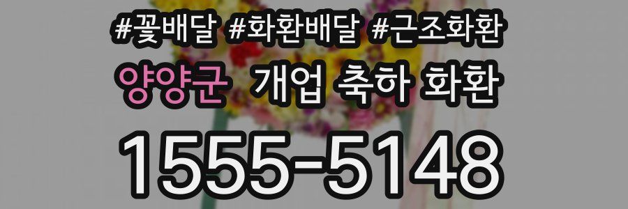양양군 개업 축하 화환