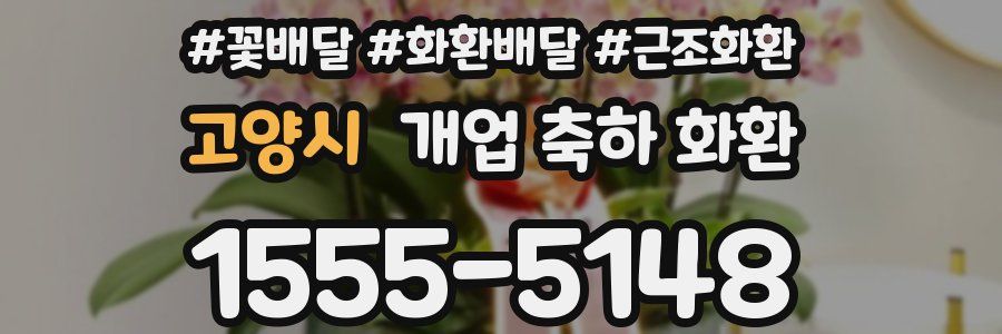 고양시 개업 축하 화환
