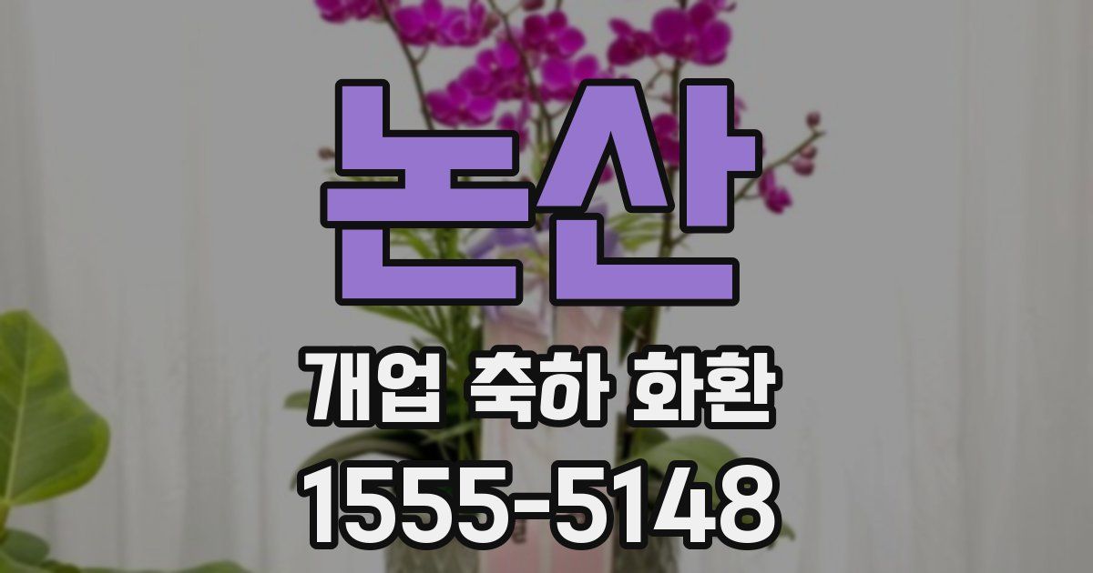 논산 개업 축하 화환