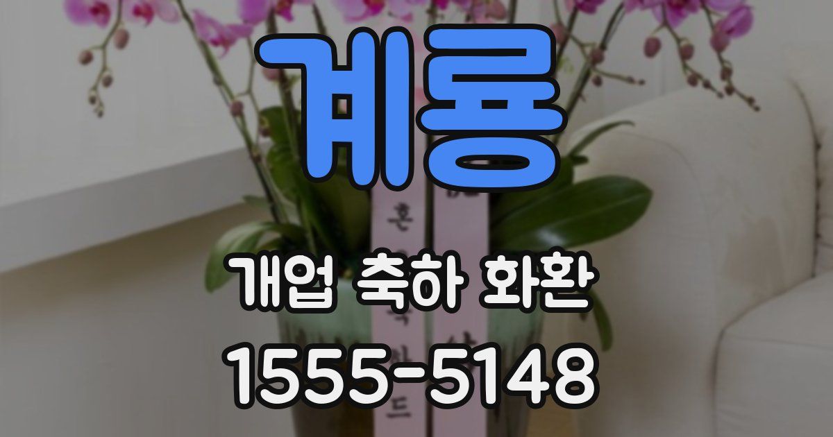 계룡 개업 축하 화환