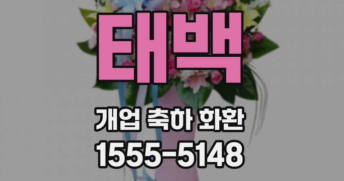 태백 개업 축하 화환