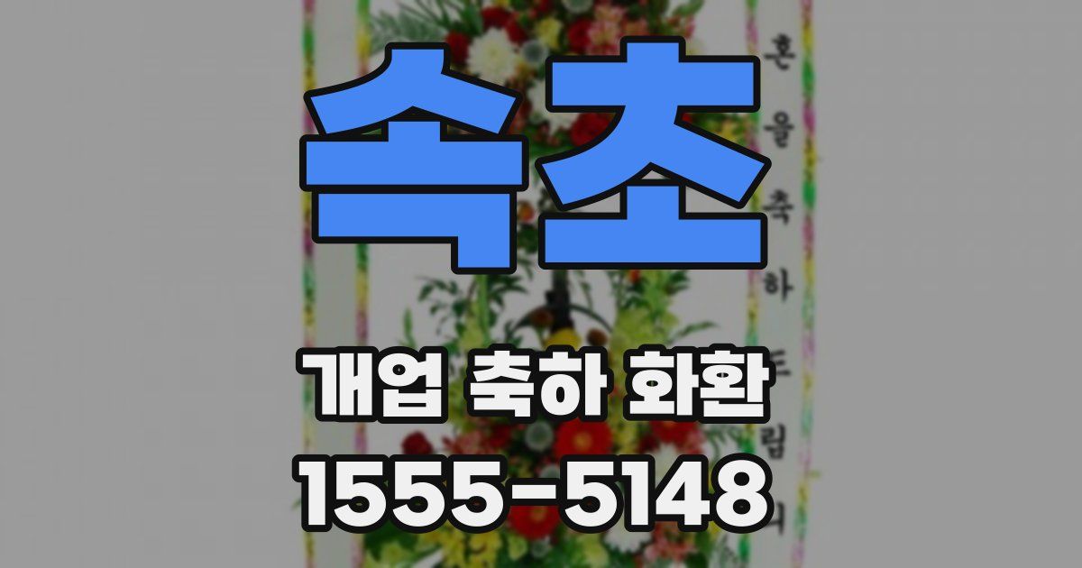 속초 개업 축하 화환