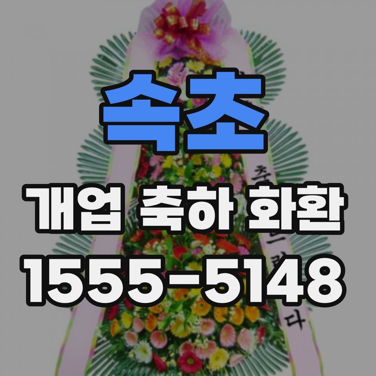 속초 개업 축하 화환