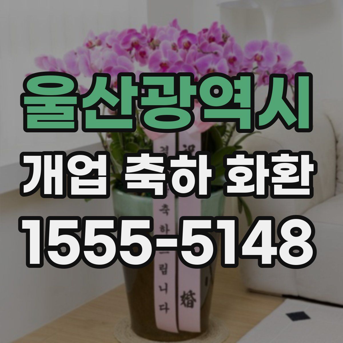 울산광역시 개업 축하 화환